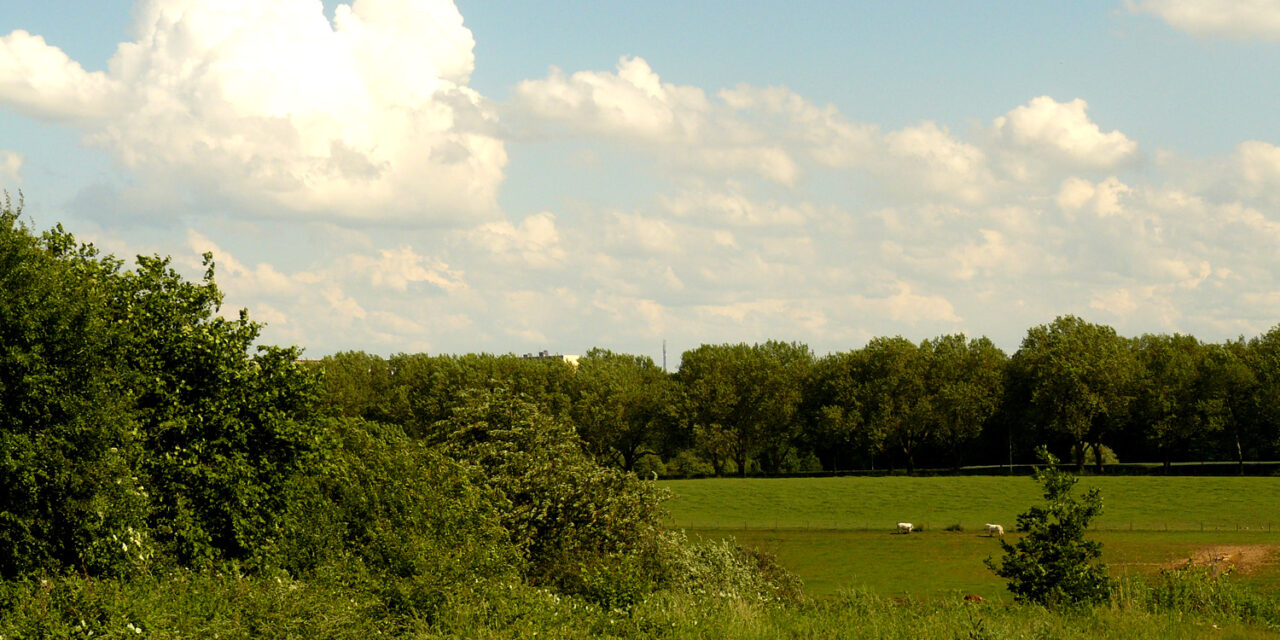 (H) eerlijke wolken