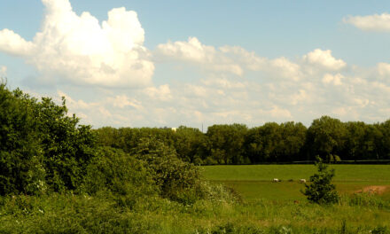 (H) eerlijke wolken