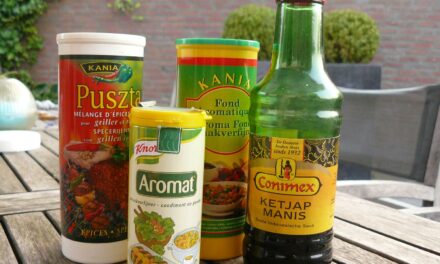 Smaakversterkers de grote verleiding update