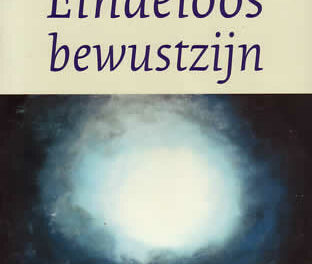Eindeloos Bewustzijn, Pim van Lommel.