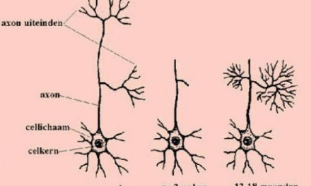 ADHD-medicatie: medische megablunder.