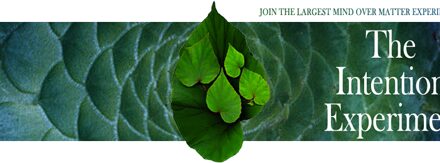 Wereld lichtactivatie The Love Wave
