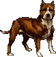 Honden kunnen kanker ruiken