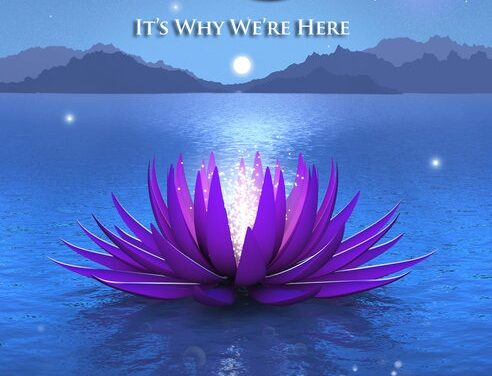 Discover the Gift