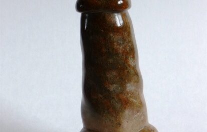 Het Penis-project.