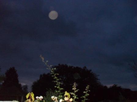 Herkomst van Orbs