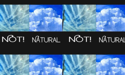 Verslag  Global March against Chemtrails