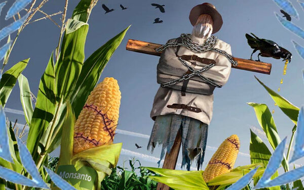Monsanto beschermingswet niet verlengd?