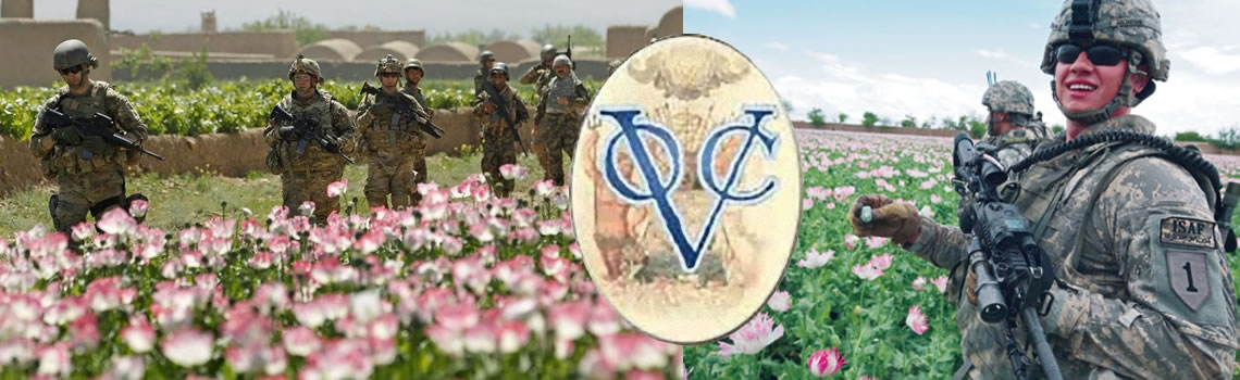 Rutte geeft 90 miljoen voor onderhoud papavervelden Afghanistan