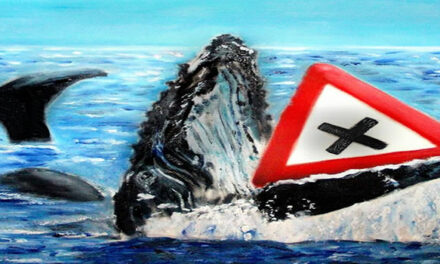 Fukushima: Tell us the truth!