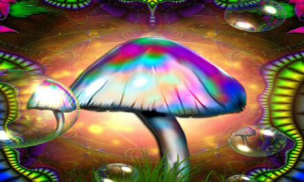 Het gebruik van psychedelische truffels