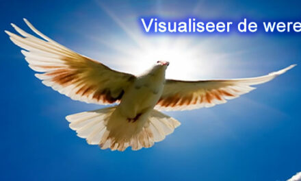 Holografische onthulling. Deel 8 t/m 14 Holographic Disclosure