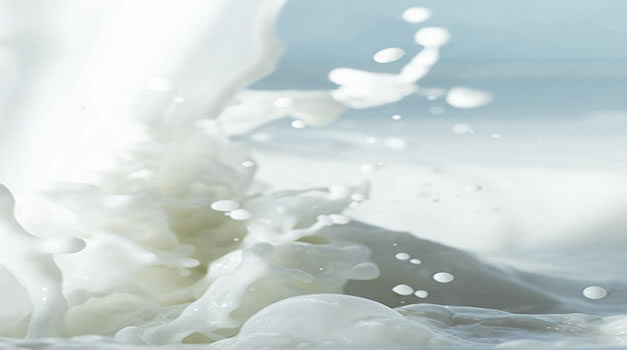 Melk is goed voor elk?