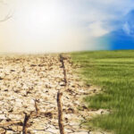 Vijf feiten over ons klimaat