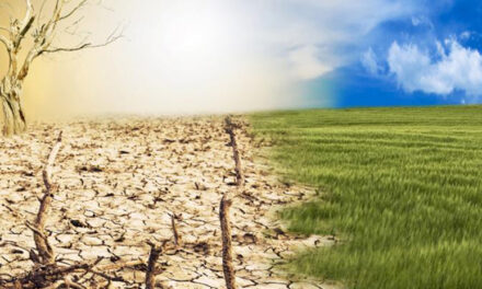 Vijf feiten over ons klimaat