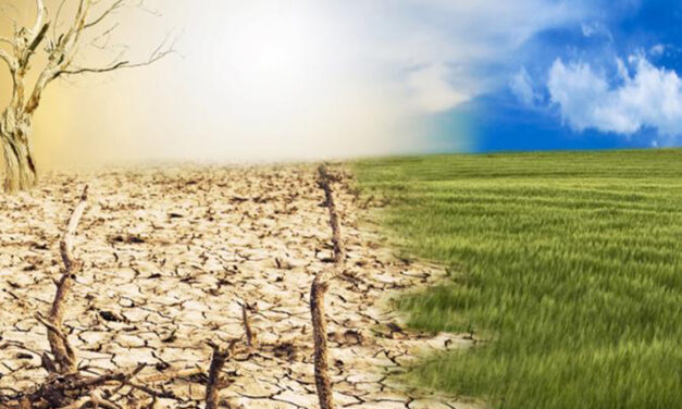Vijf feiten over ons klimaat